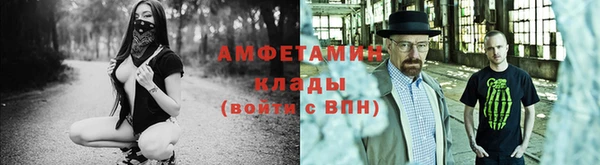 прущие грибы Магас