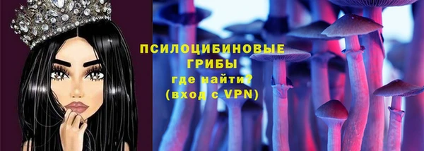 прущие грибы Магас