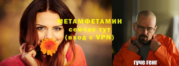 ГАЛЛЮЦИНОГЕННЫЕ ГРИБЫ Майский