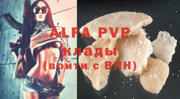 прущие грибы Магас