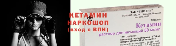 прущие грибы Магас