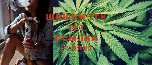 ГАЛЛЮЦИНОГЕННЫЕ ГРИБЫ Майский