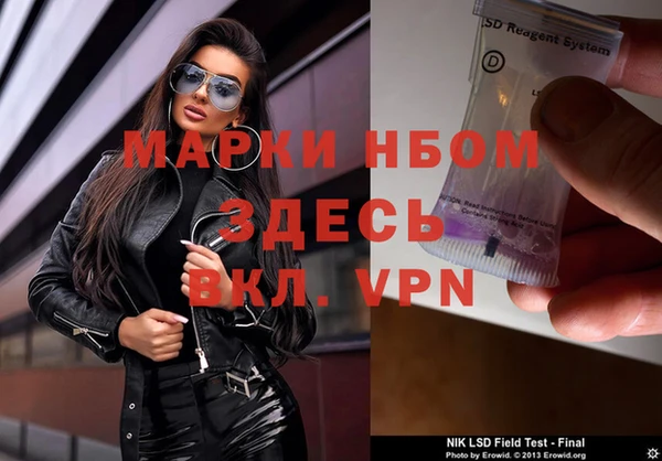 ГАЛЛЮЦИНОГЕННЫЕ ГРИБЫ Майский