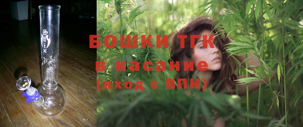 прущие грибы Магас