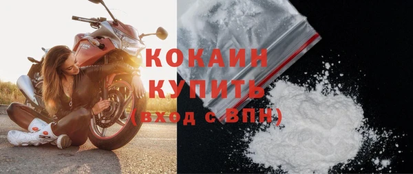 прущие грибы Магас