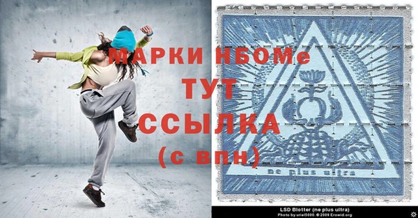 прущие грибы Магас