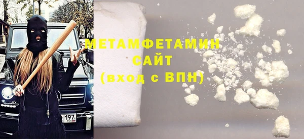 прущие грибы Магас
