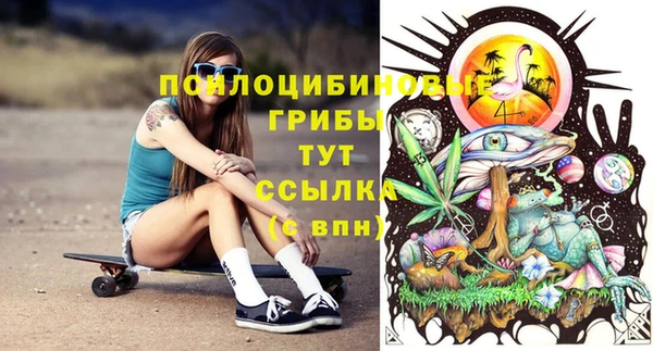 ГАЛЛЮЦИНОГЕННЫЕ ГРИБЫ Майский