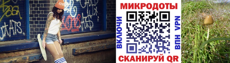 Купить  Кущёвская  Галлюциногенные грибы Magic Shrooms 
