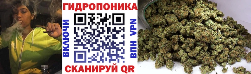 Купить закладки  Кущёвская  МАРИХУАНА White Widow 